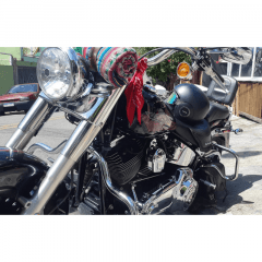 Protetor Traseiro Harley Fat Boy Mata Gato Customer