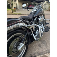 Protetor Traseiro Harley Fat Boy Mata Gato Customer
