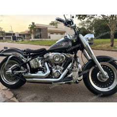 Protetor Traseiro Harley Fat Boy Mata Gato Customer