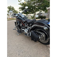 Protetor Traseiro Harley Fat Boy Mata Gato Customer