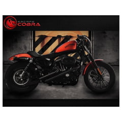 Escapamento Furia Moto Harley XL 883 Iron 